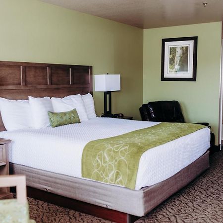 Pacific Inn Motel ฟอร์กส์ ภายนอก รูปภาพ