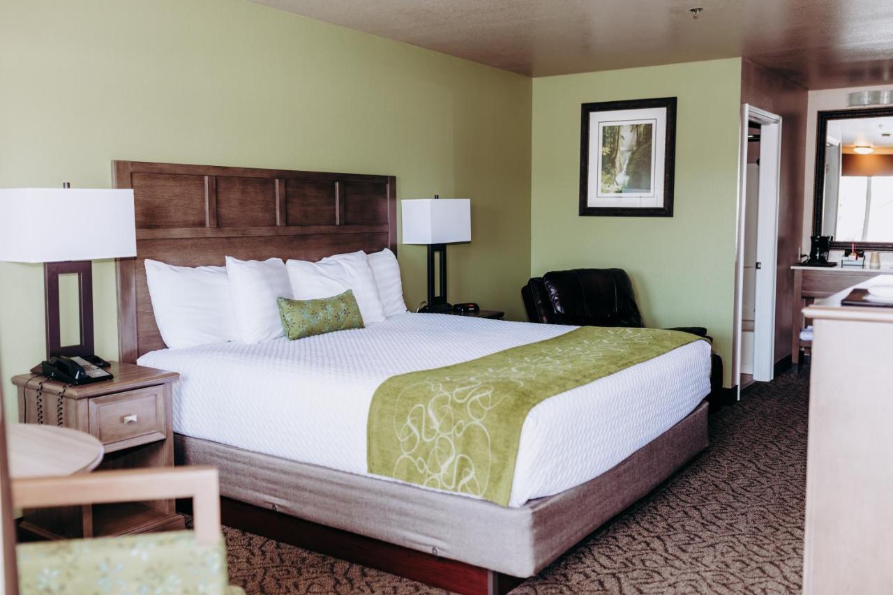 Pacific Inn Motel ฟอร์กส์ ภายนอก รูปภาพ
